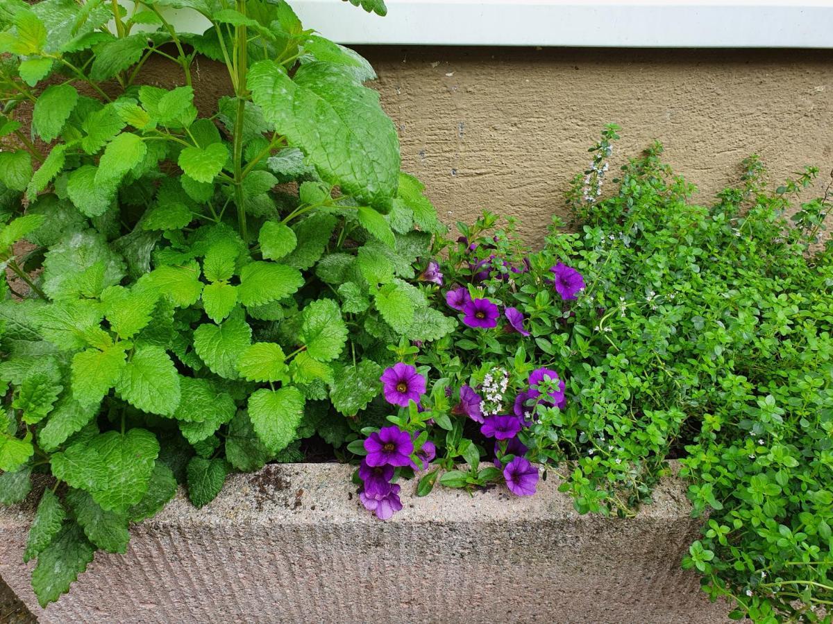 Ferienwohnung Tiroler Auszeit & Whirlpool Hofen ภายนอก รูปภาพ